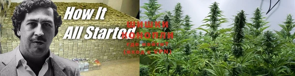 MESCALINE Дмитров